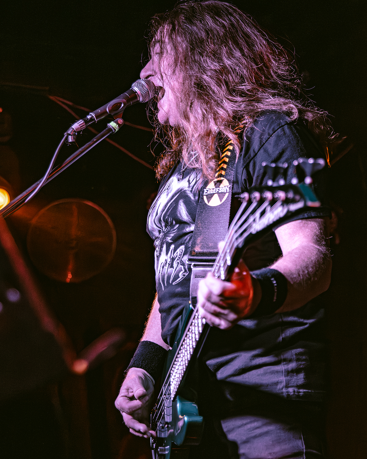 David Ellefson - Basstory